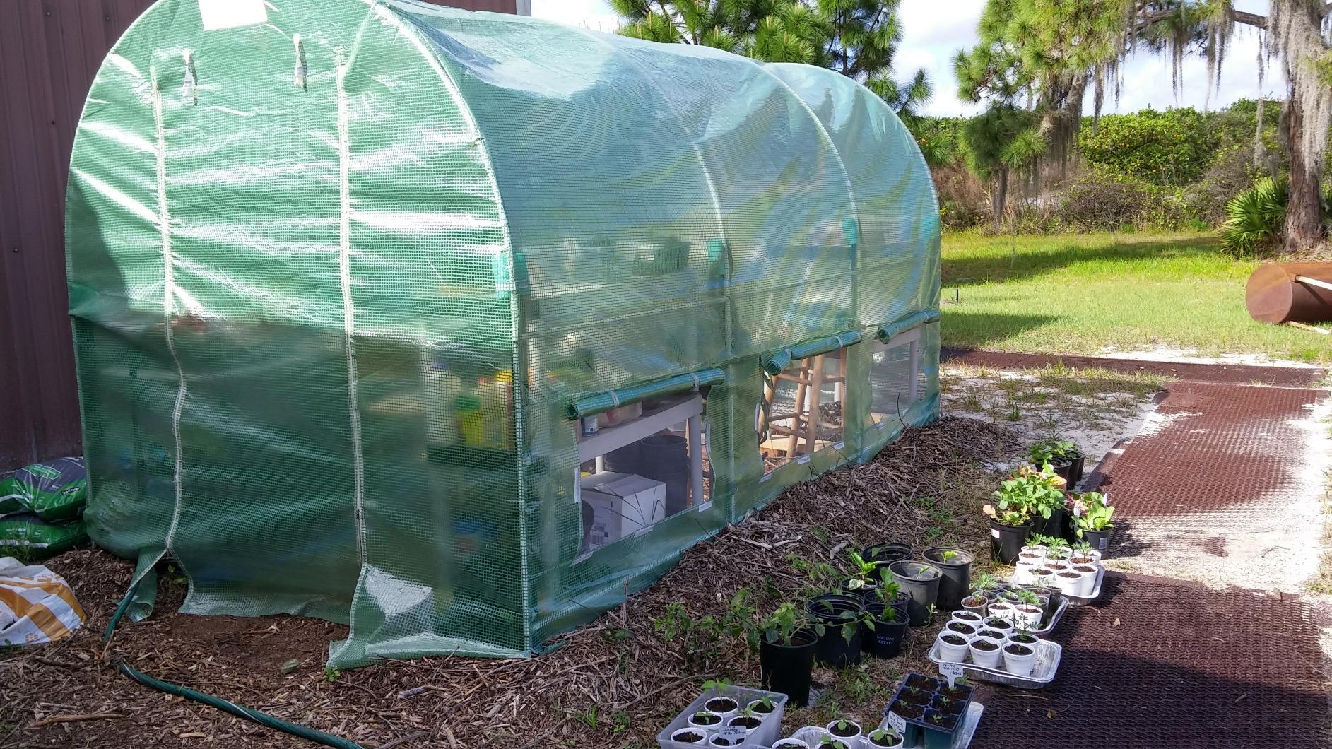 Greenhouse Spring Setup: Frebuary Prep Tips