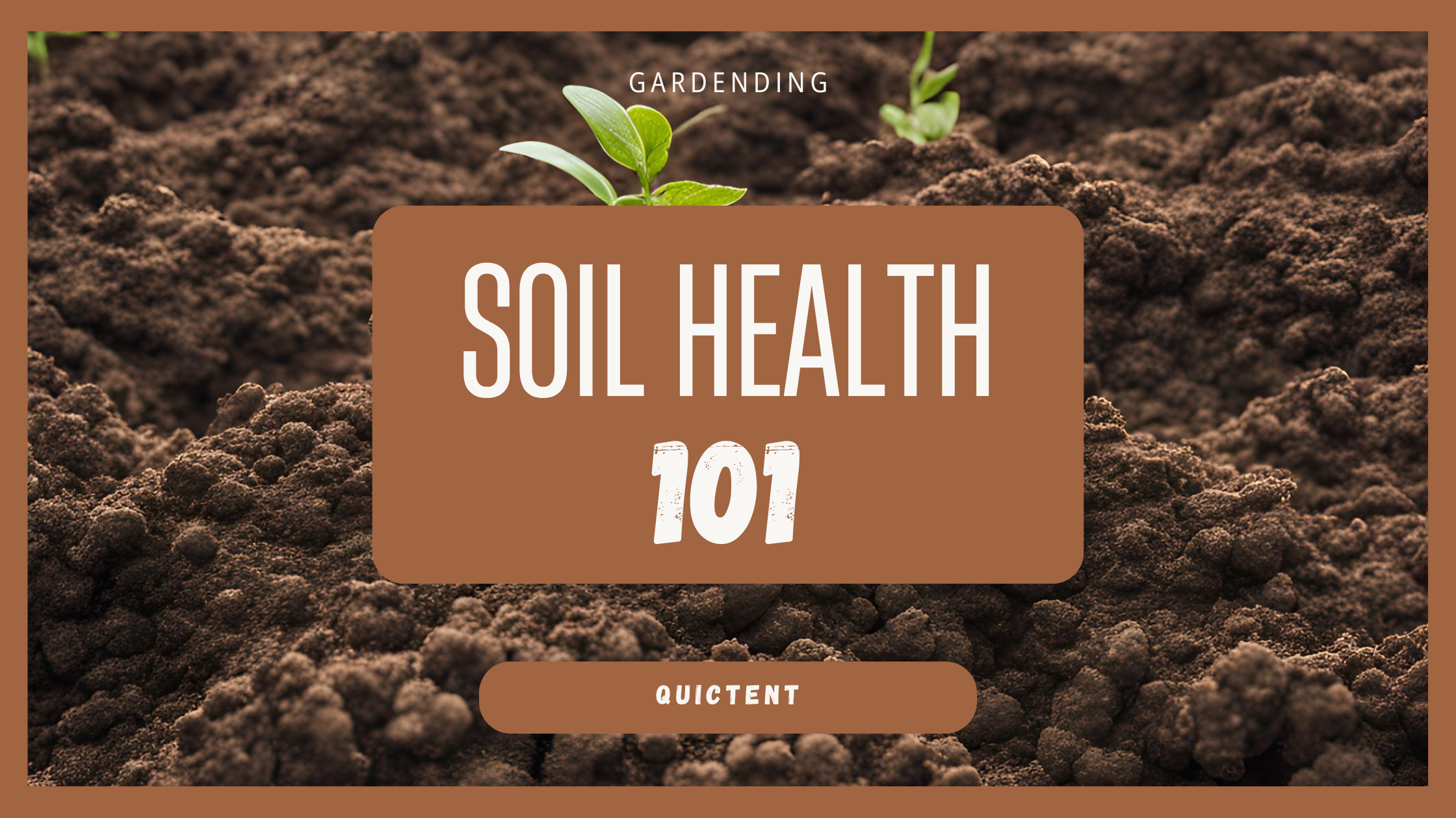 Soil Health 101: Best Practices for Your Garden