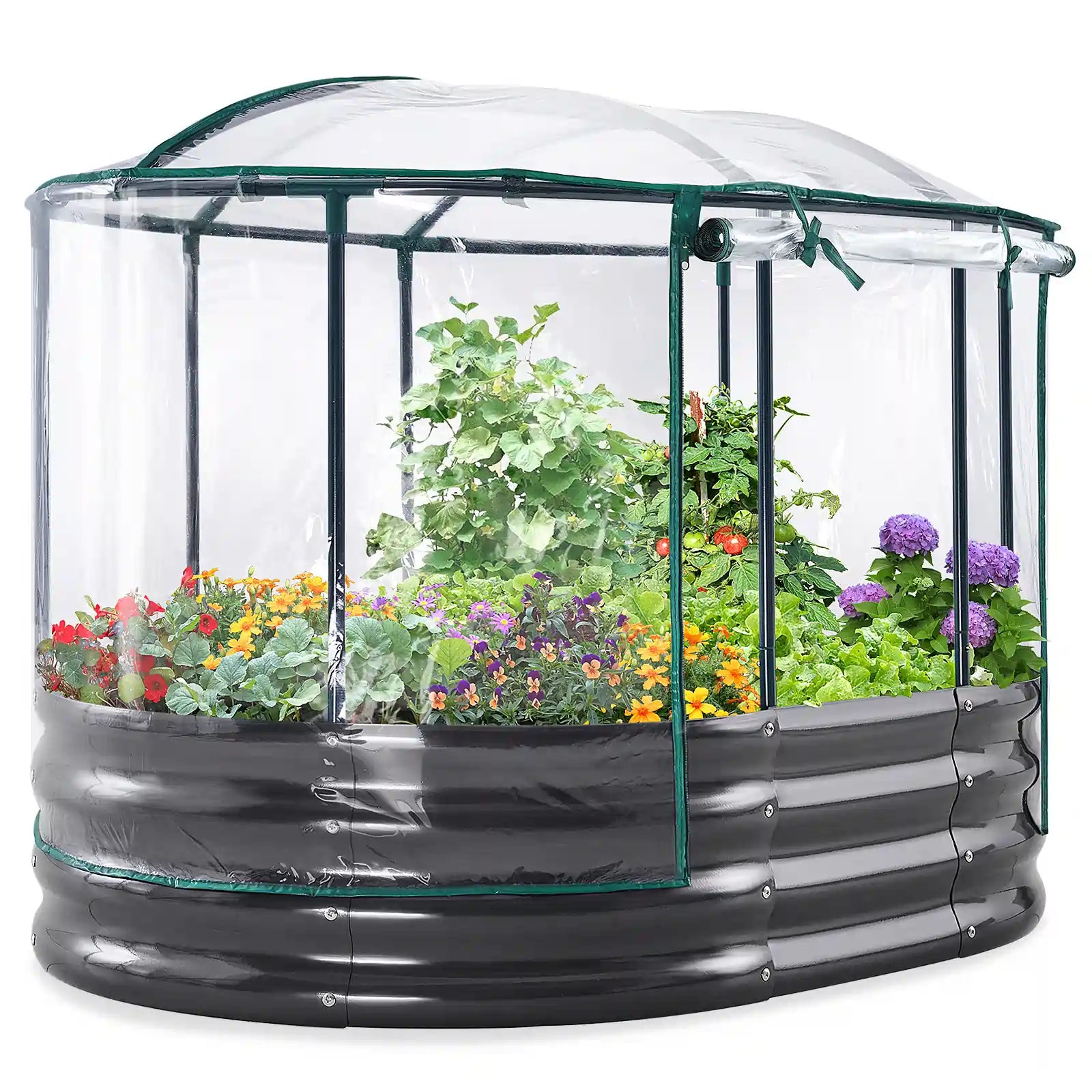 4' x 3' x 1' Oval Galvanized Raised Garden Bed with Cover  Clear#color_clear