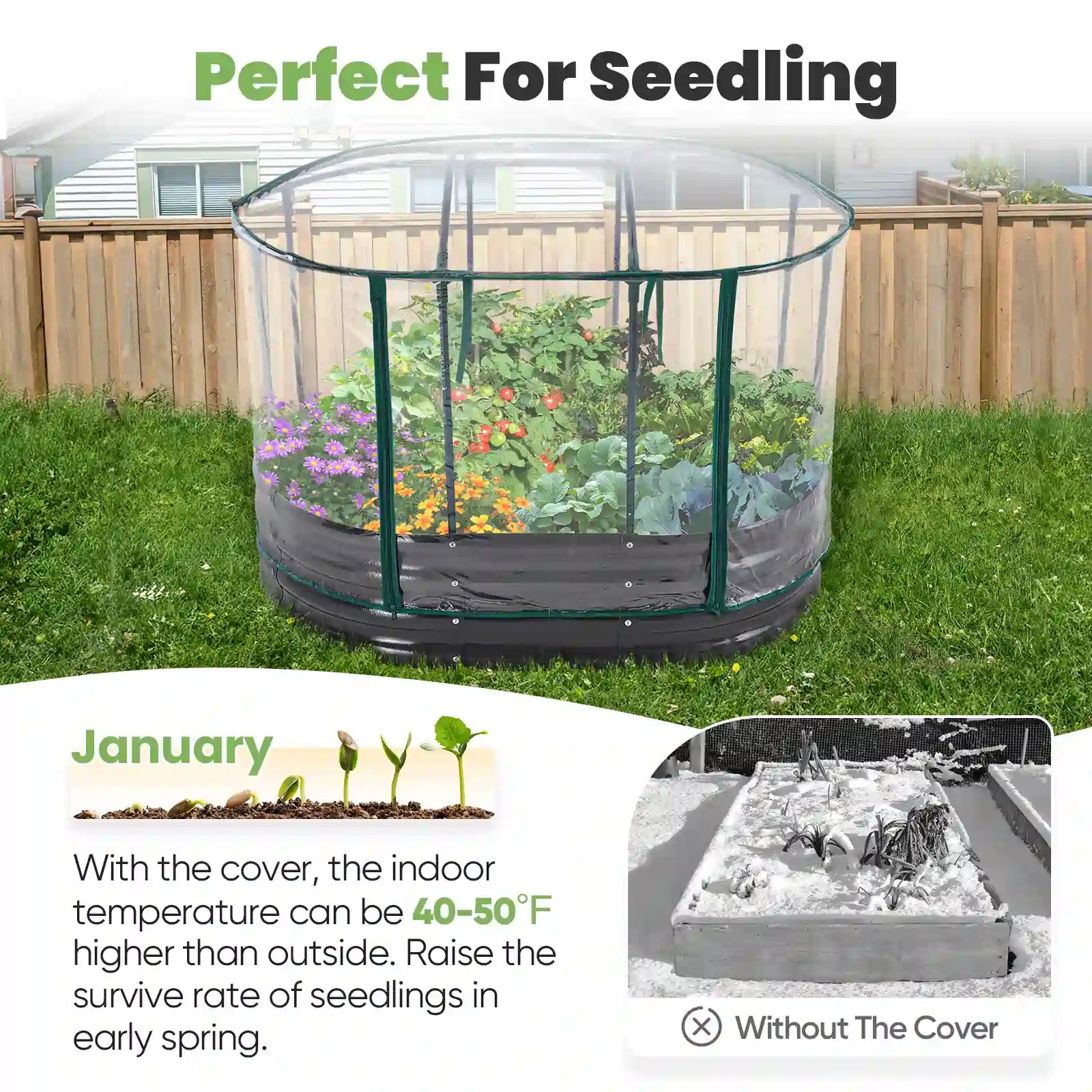 Perfect for seedling#color_clear