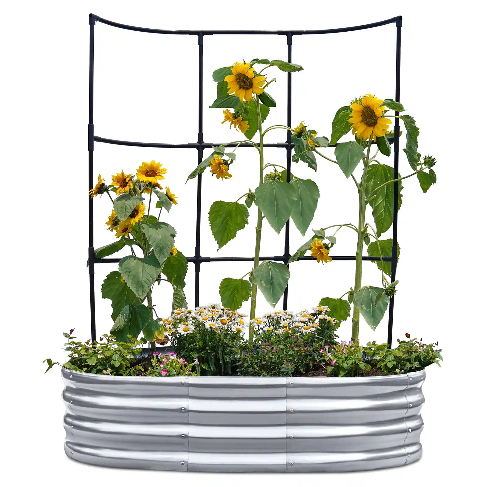 KING BIRD Raised Garden Bed with Wall Trellis 4x3x1ft#size_4x3x1ft